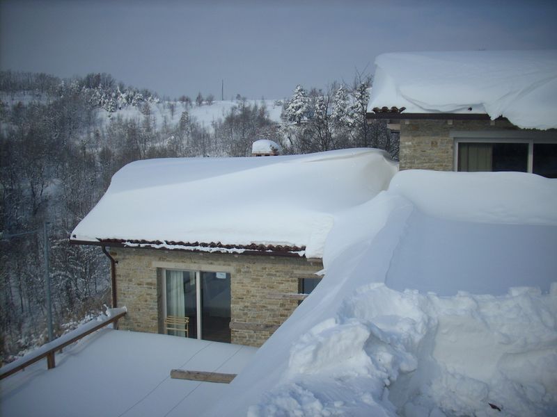 GINESTRA11.jpg
