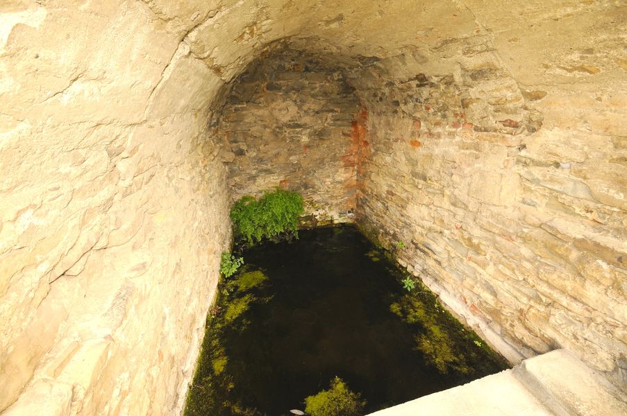 1639-BISTAGNO26.jpg