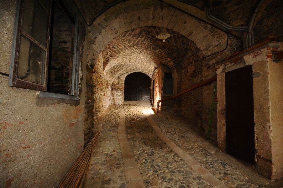 1639-BISTAGNO30.jpg