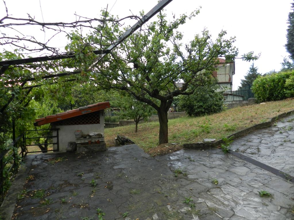 1641-lussito05.jpg