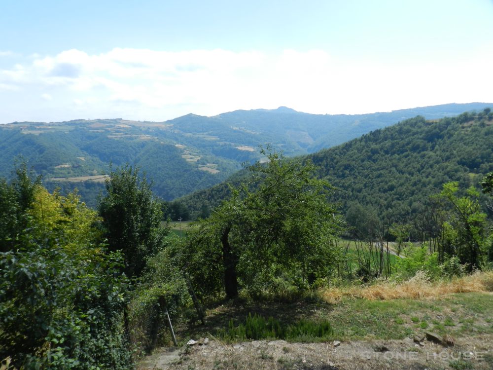 1702-vaglio-web3.jpg