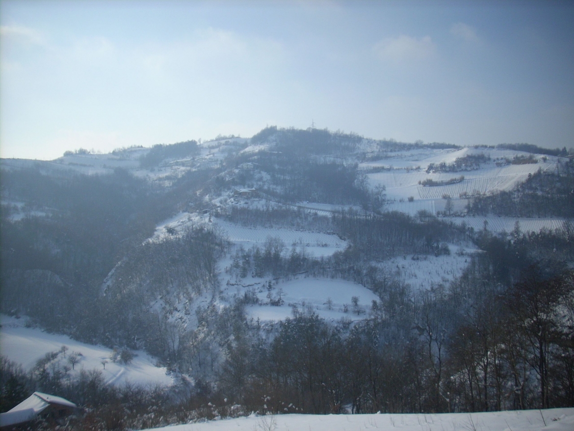 1703-AZ-AGR-BISTAGNO02.jpg