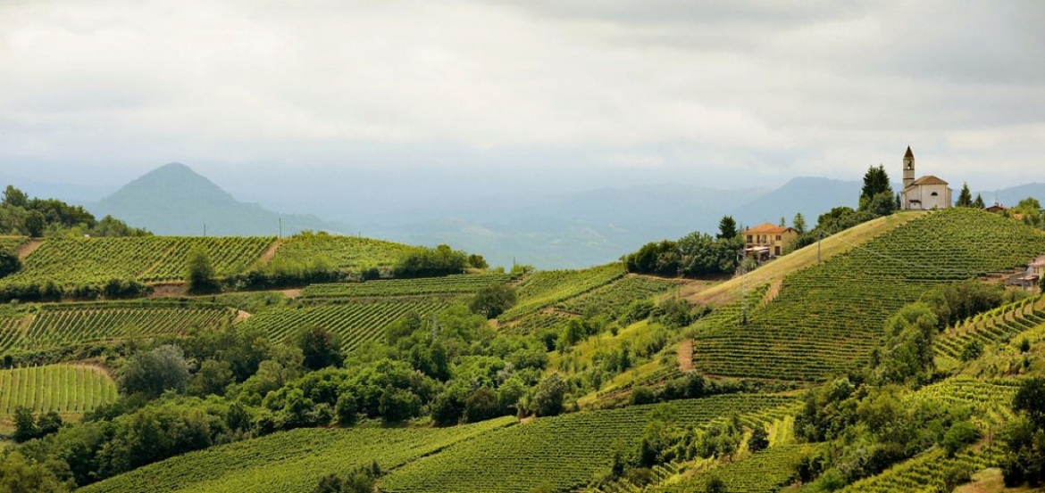 1703-AZ-AGR-BISTAGNO07.jpg