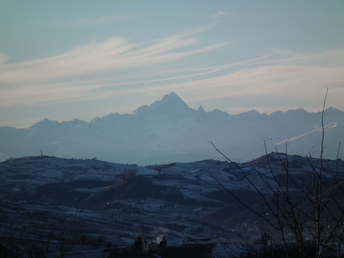 1703-AZ-AGR-BISTAGNO08.jpg