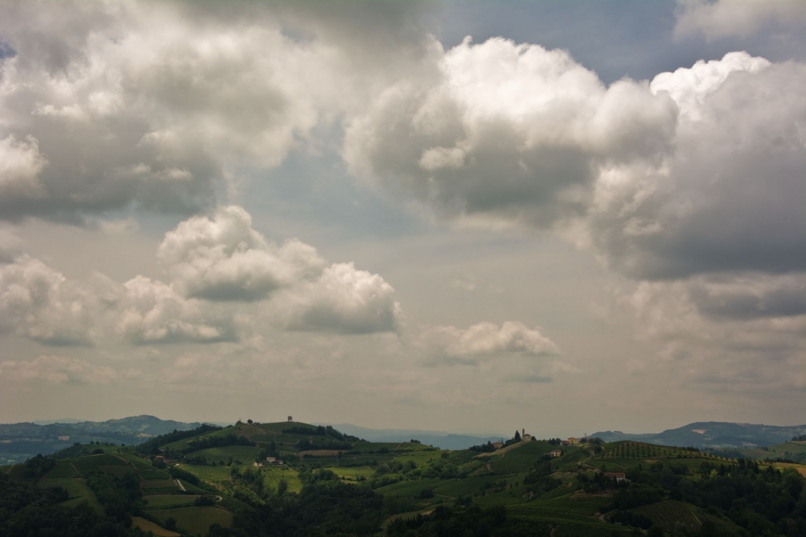 1703-AZ-AGR-BISTAGNO09.jpg