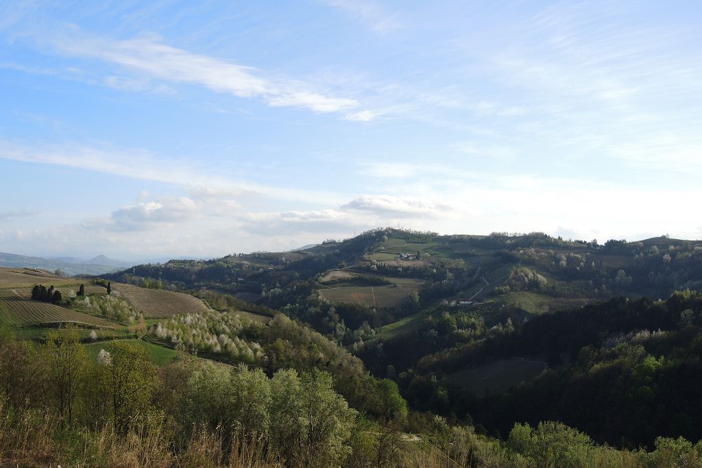 1703-AZ-AGR-BISTAGNO10.jpg