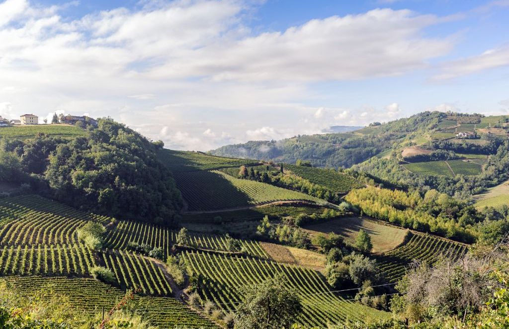1703-AZ-AGR-BISTAGNO24.jpg