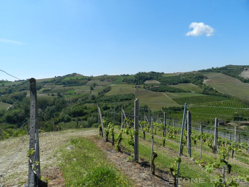 1709-AZ-C-BOGL-WINE11.jpg