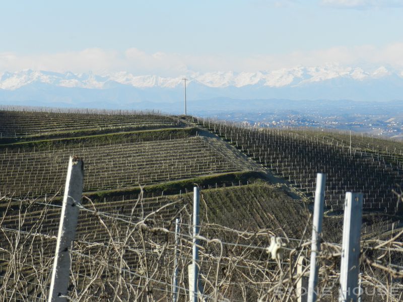 1709-AZ-C-BOGL-WINE12.jpg