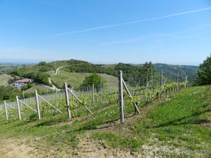 1709-AZ-C-BOGL-WINE17.jpg