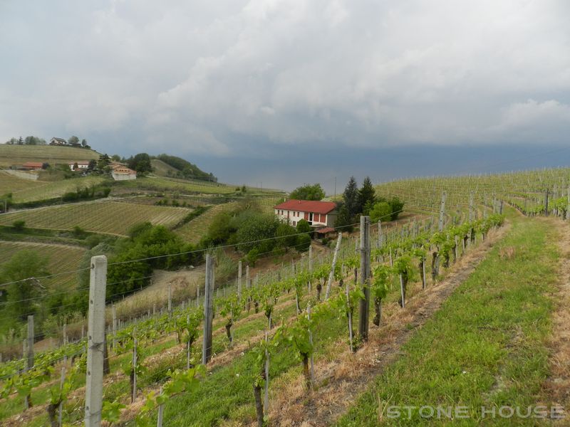 1709-AZ-C-BOGL-WINE18.jpg