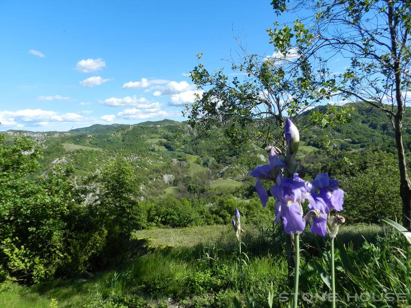 1711-SPIGNO-MONASTREO100.jpg