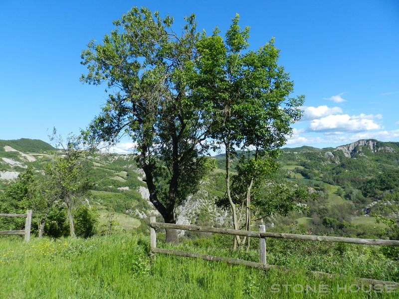 1711-SPIGNO-MONASTREO103.jpg