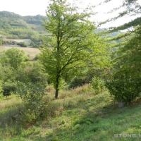 1653-BISTAGNO-GIANNI-34