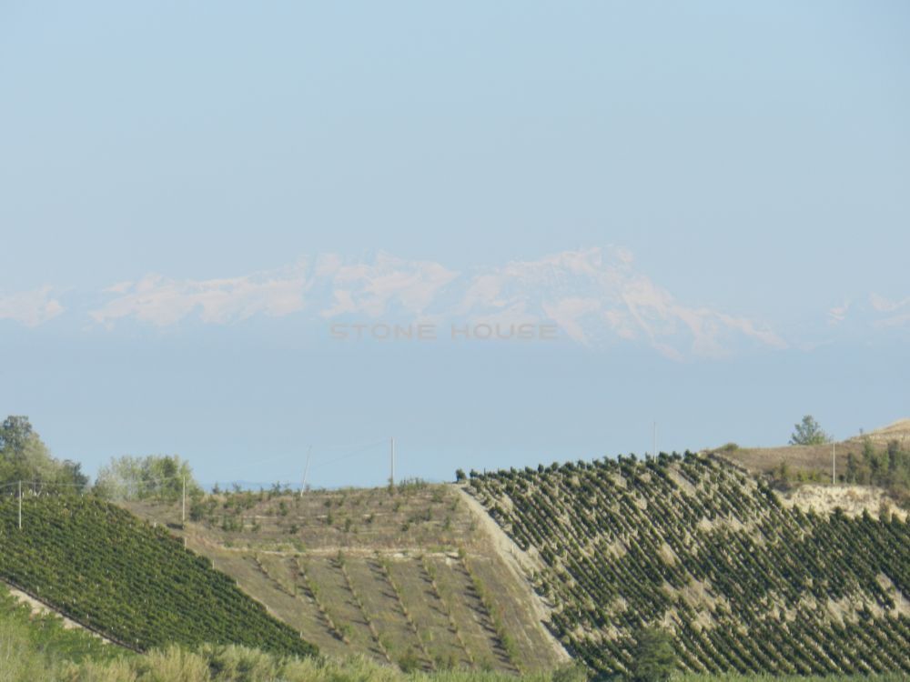 B09.jpg