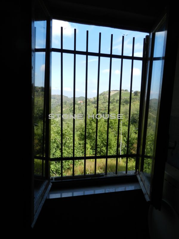 C01.jpg