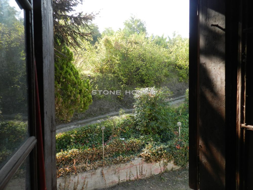 D05.jpg