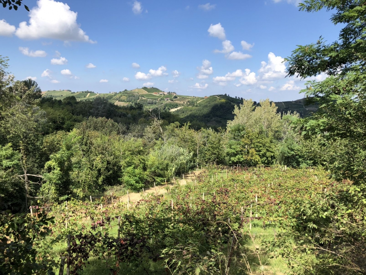 F05.jpg