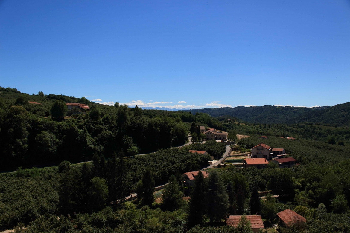Panorama-1.jpg