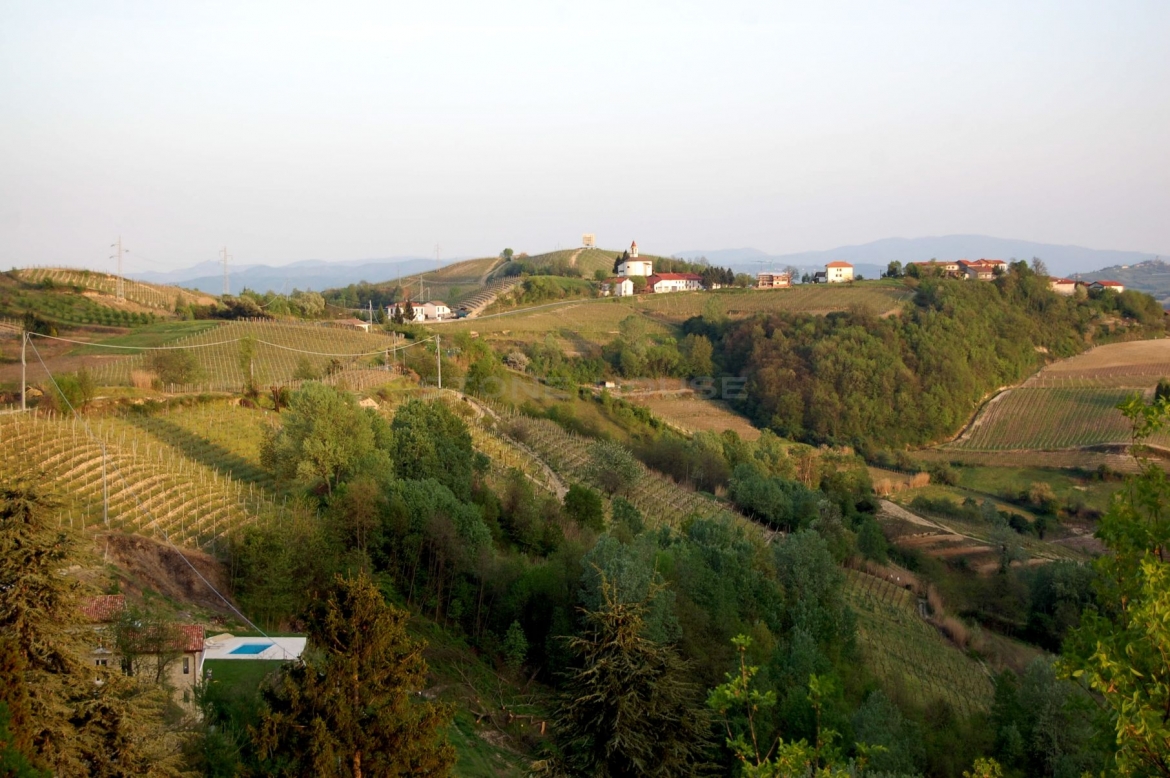 H01.jpg