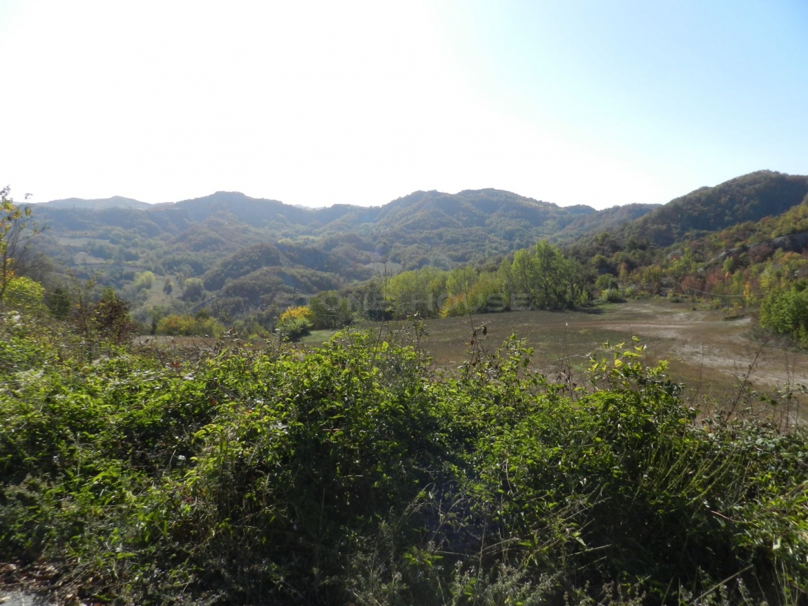 P01.jpg