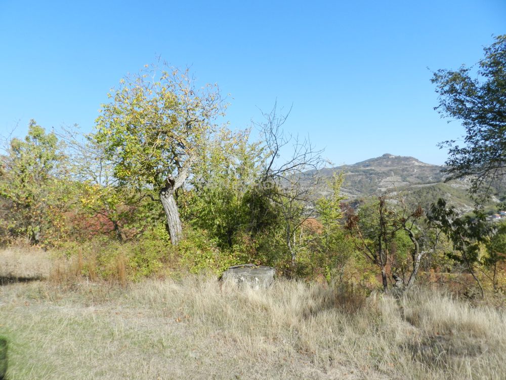 P03.jpg