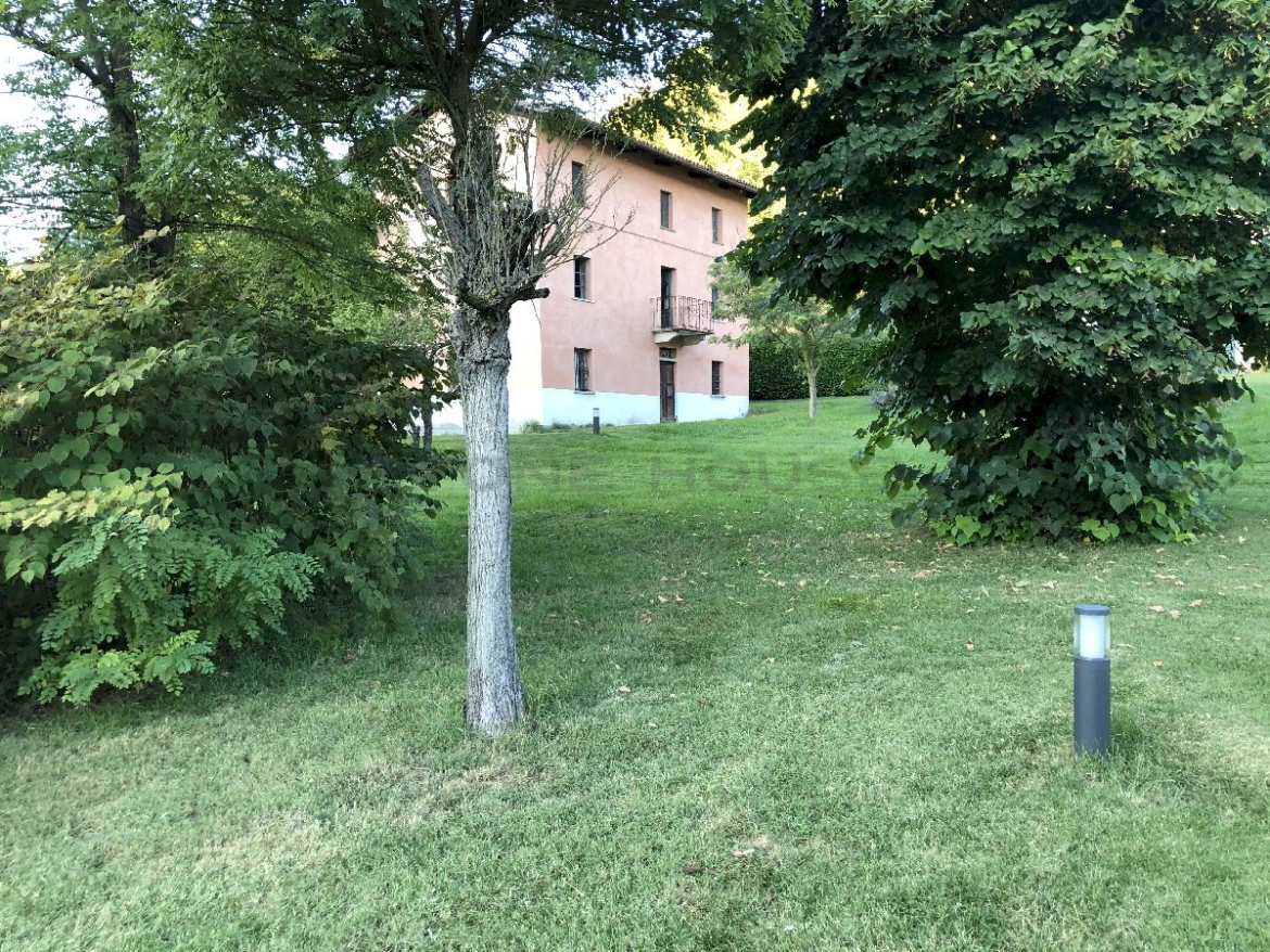 62.jpg