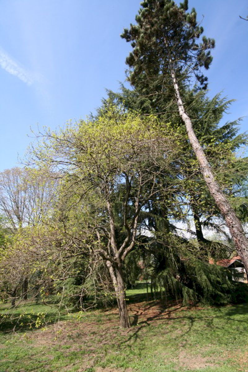 66.jpg